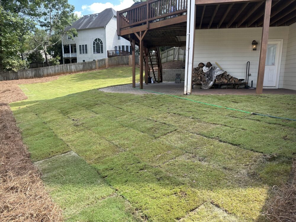 Sod (1)